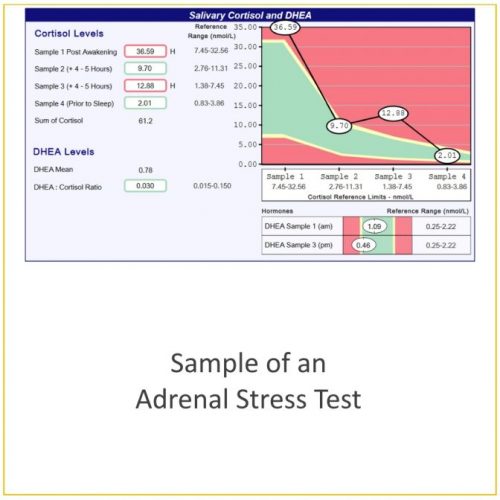 Adrenal Stress Profile